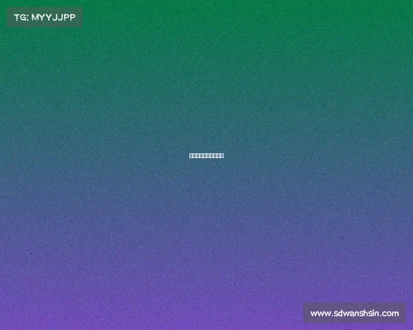 各国篮球联赛开赛时间